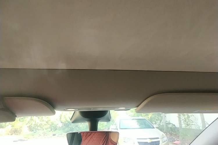 Used Tesla Model Y 2022 Revised Version Rear-Wheel Drive Headliner