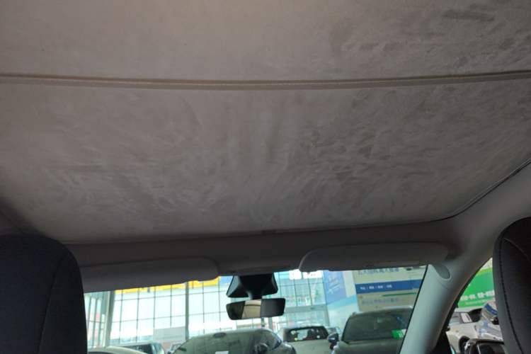Used Tesla Model Y 2022 Rear-Wheel-Drive Version Headliner