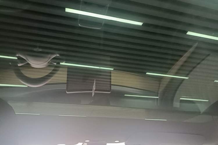 Used Tesla Model Y 2022 Rear-Wheel-Drive Version Headliner