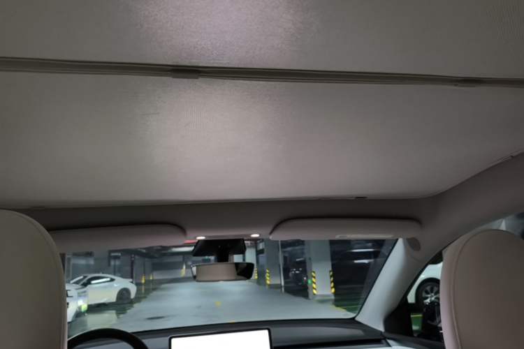 Used Tesla Model Y 2022 Performance High-Performance All-Wheel-Drive Version Headliner