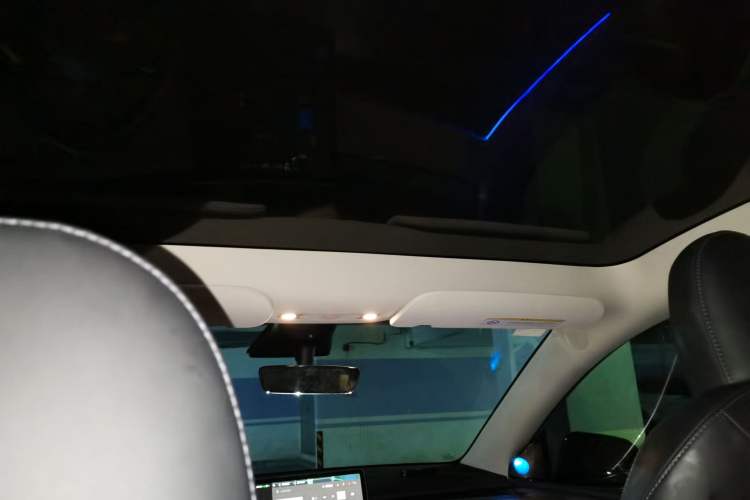 Used Tesla Model Y 2022 Performance High-Performance All-Wheel-Drive Version Headliner
