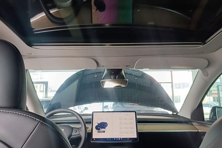 Used Tesla Model Y 2022 Revised Version Rear-Wheel Drive Headliner