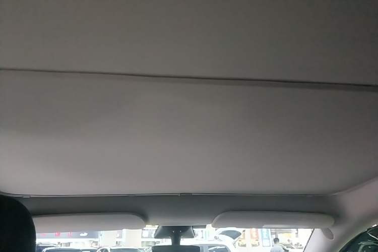 Used Tesla Model Y 2022 Revised Version Rear-Wheel Drive Headliner