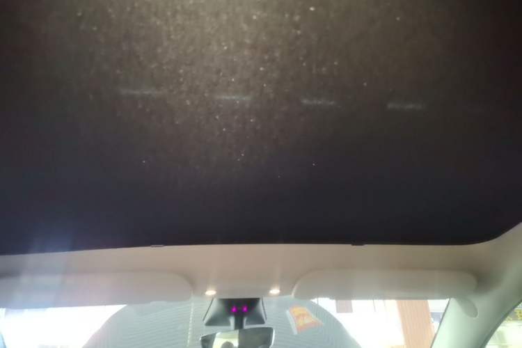 Used Tesla Model Y 2022 Revised Version Long-Range All-Wheel Drive Headliner