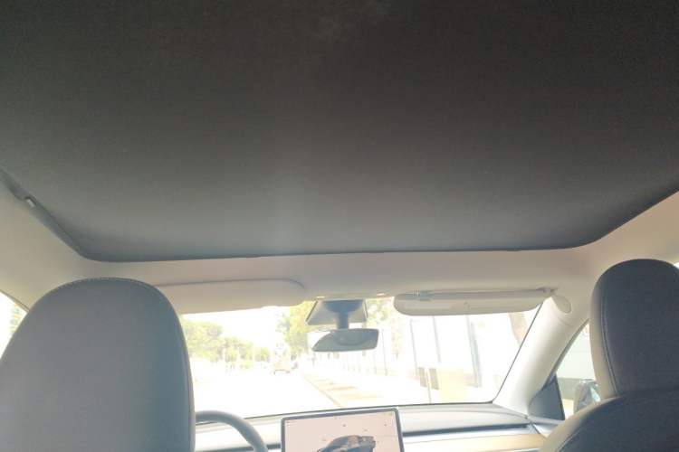 Used Tesla Model Y 2022 Revised Version Rear-Wheel Drive Headliner