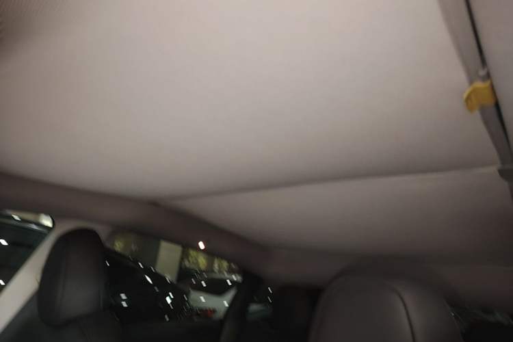 Used Tesla Model Y 2022 Revised Version Rear-Wheel Drive Headliner