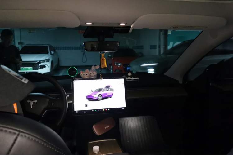 Used Tesla Model Y 2022 Revised Version Rear-Wheel Drive Headliner