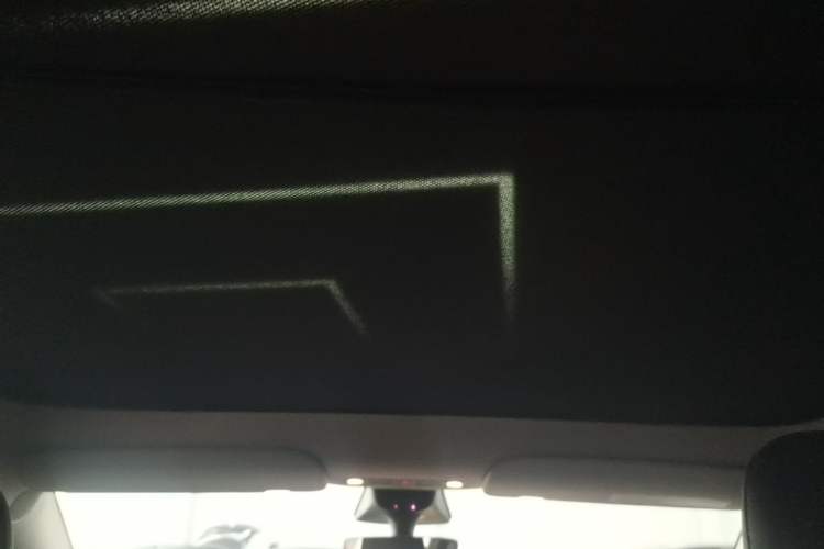 Used Tesla Model Y 2022 Long-Range All-Wheel-Drive Version Headliner