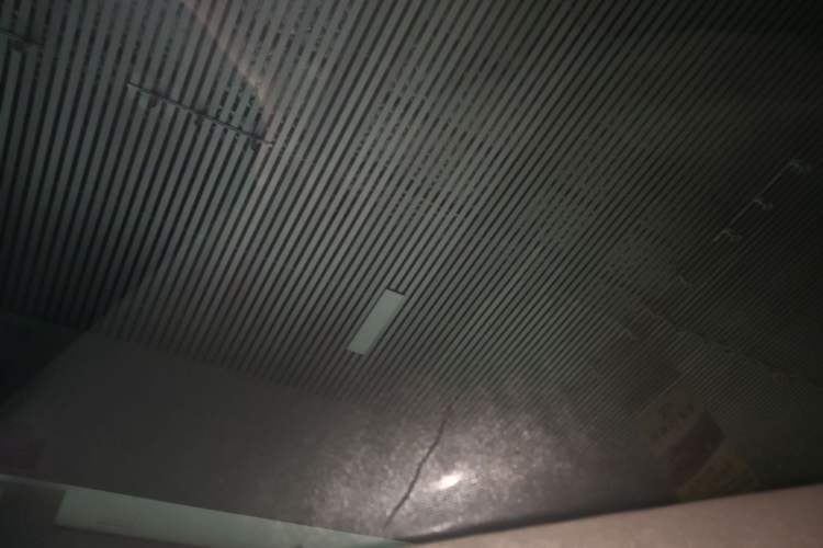 Used Tesla Model Y 2022 Long-Range All-Wheel-Drive Version Headliner