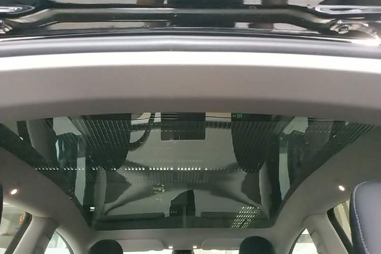 Used Tesla Model Y 2022 Rear-Wheel-Drive Version Headliner