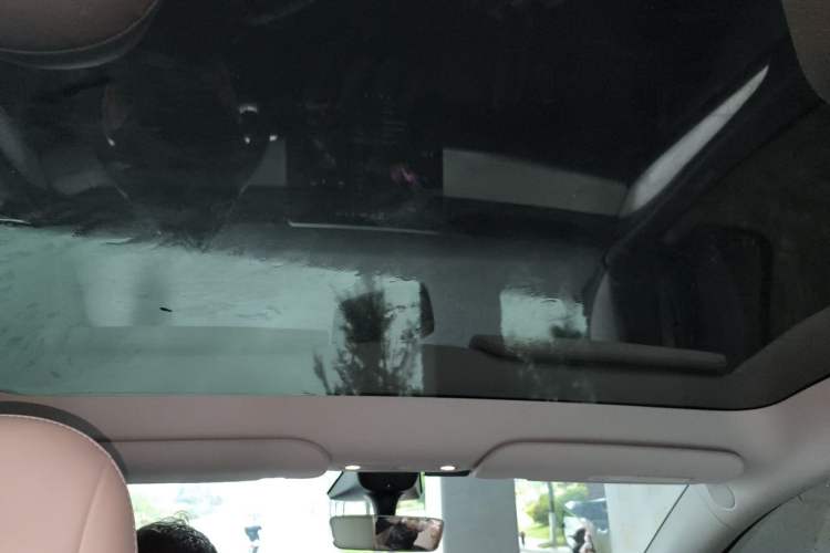 Used Tesla Model Y 2022 Rear-Wheel-Drive Version Headliner