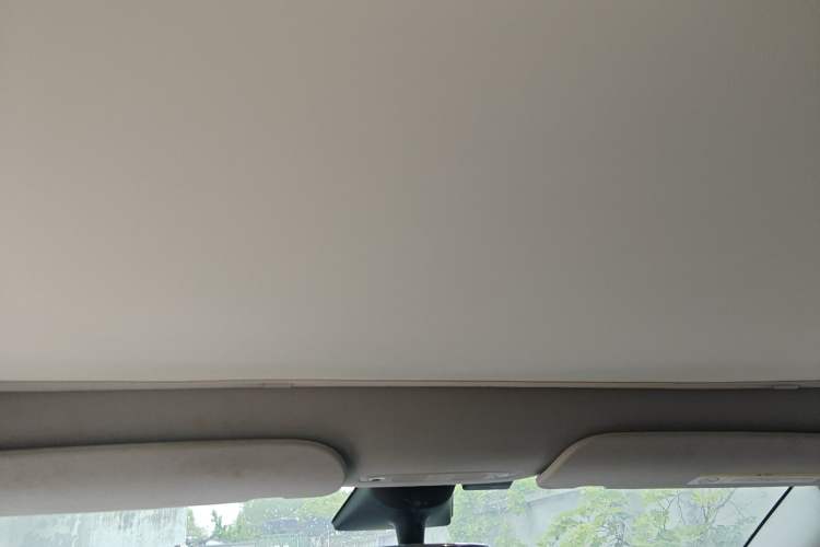Used Tesla Model Y 2022 Revised Version Rear-Wheel Drive Headliner