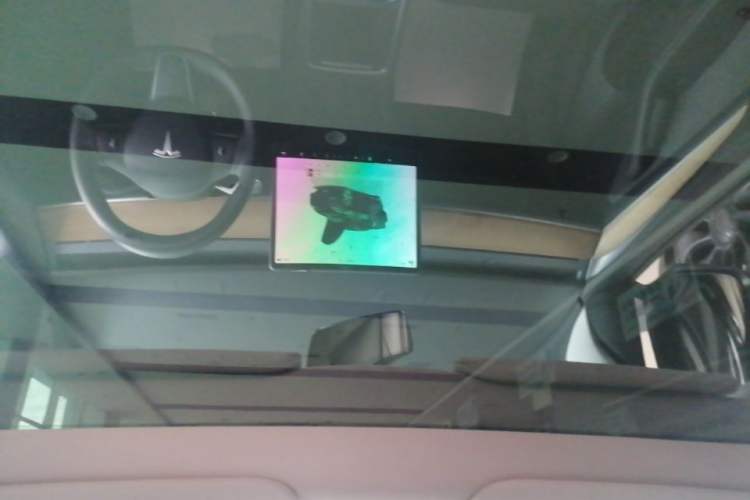 Used Tesla Model Y 2022 Rear-Wheel-Drive Version Headliner