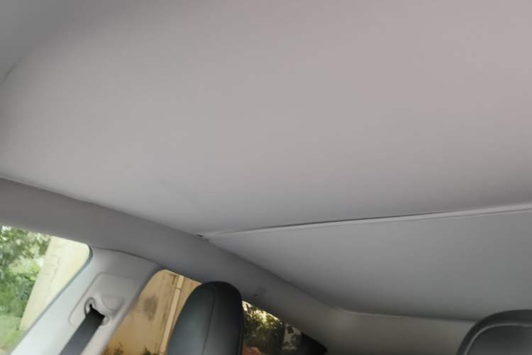 Used Tesla Model Y 2022 Revised Version Rear-Wheel Drive Headliner