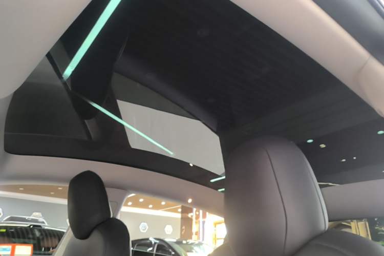 Used Tesla Model Y 2022 Long-Range All-Wheel-Drive Version Headliner