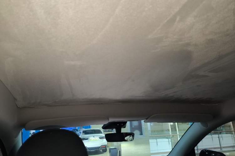 Used Tesla Model Y 2022 Revised Version Rear-Wheel Drive Headliner