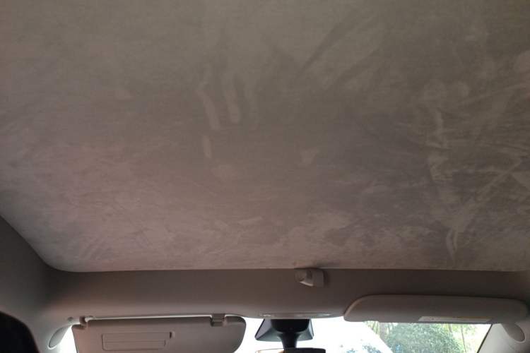 Used Tesla Model Y 2022 Performance High-Performance All-Wheel-Drive Version Headliner