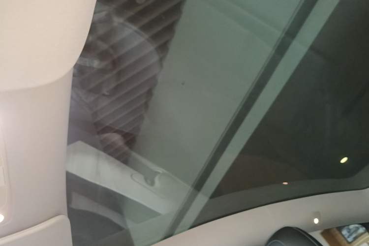 Used Tesla Model Y 2022 Performance High-Performance All-Wheel-Drive Version Headliner