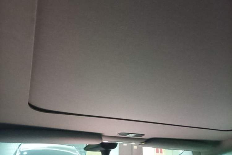 Used Tesla Model Y 2022 Revised Version Rear-Wheel Drive Headliner