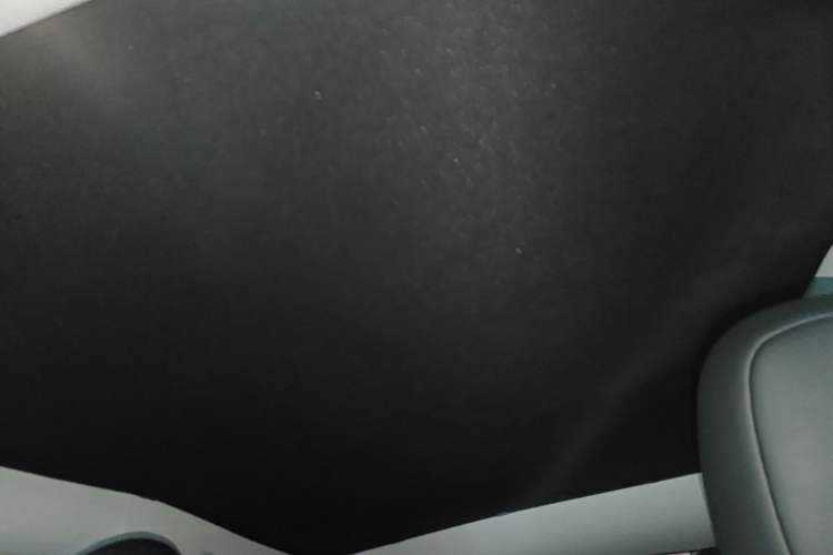 Used Tesla Model Y 2022 Revised Version Rear-Wheel Drive Headliner
