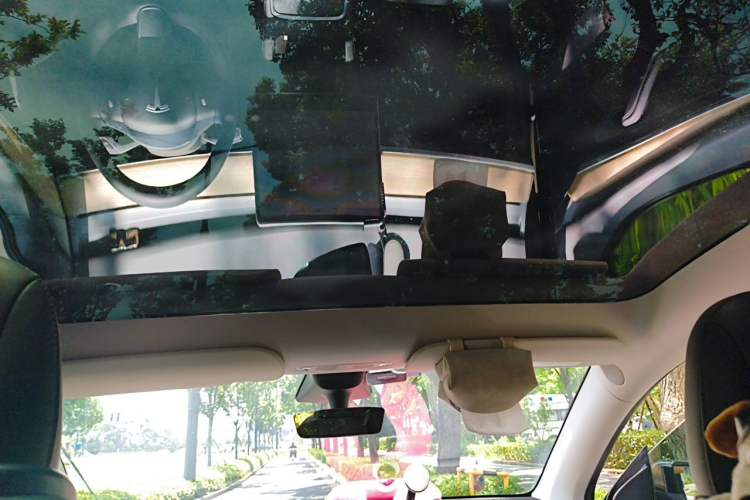Used Tesla Model Y 2022 Rear-Wheel-Drive Version Headliner