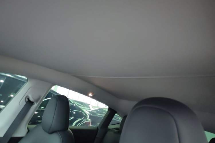 Used Tesla Model Y 2022 Revised Version Long-Range All-Wheel Drive Headliner
