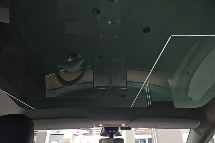 Used Tesla Model Y 2022 Long-Range All-Wheel-Drive Version Headliner