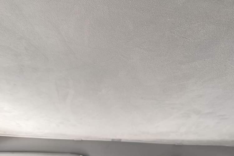 Used Tesla Model Y 2022 Long-Range All-Wheel-Drive Version Headliner