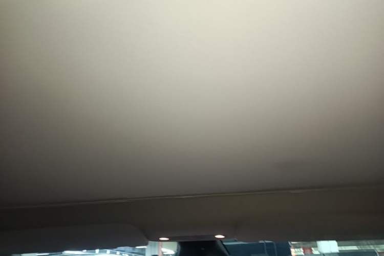 Used Tesla Model Y 2022 Rear-Wheel-Drive Version Headliner