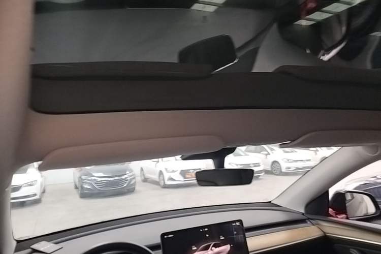 Used Tesla Model Y 2022 Revised Version Rear-Wheel Drive Headliner
