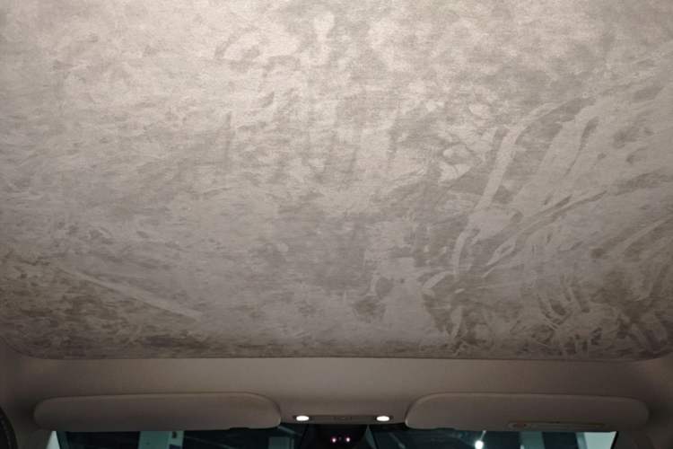 Used Tesla Model Y 2022 Long-Range All-Wheel-Drive Version Headliner
