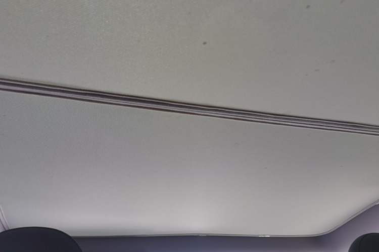 Used Tesla Model Y 2022 Long-Range All-Wheel-Drive Version Headliner