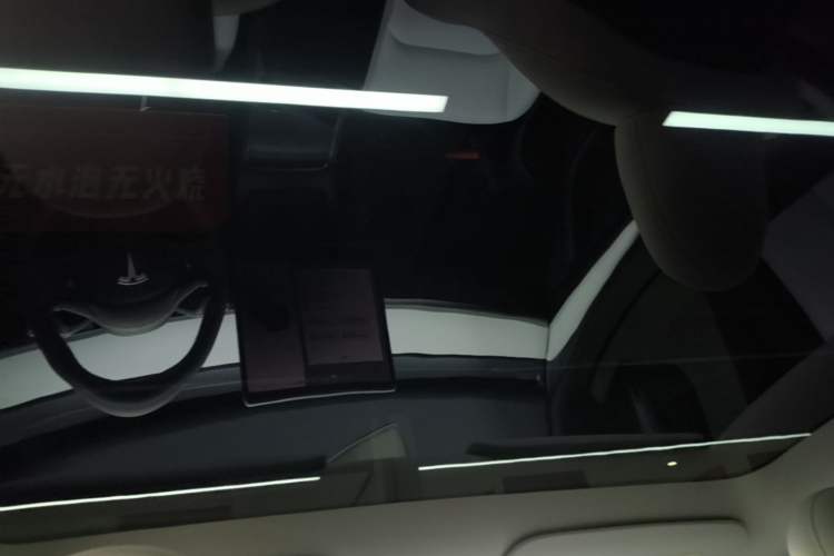 Used Tesla Model Y 2022 Rear-Wheel-Drive Version Headliner
