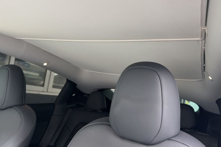 Used Tesla Model Y 2022 Performance High-Performance All-Wheel-Drive Version Headliner
