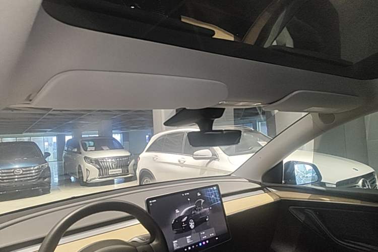 Used Tesla Model Y 2022 Rear-Wheel-Drive Version Headliner