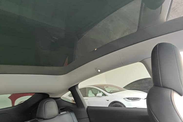 Used Tesla Model Y 2022 Long-Range All-Wheel-Drive Version Headliner