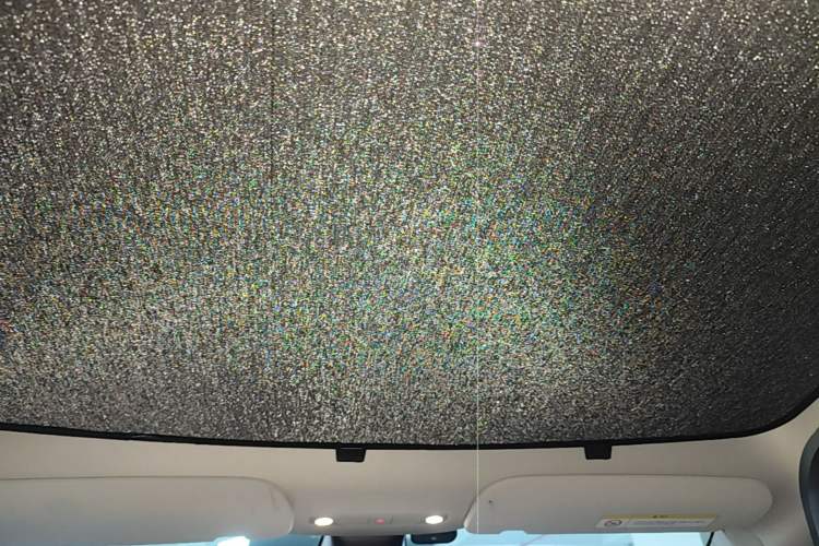Used Tesla Model Y 2022 Rear-Wheel-Drive Version Headliner