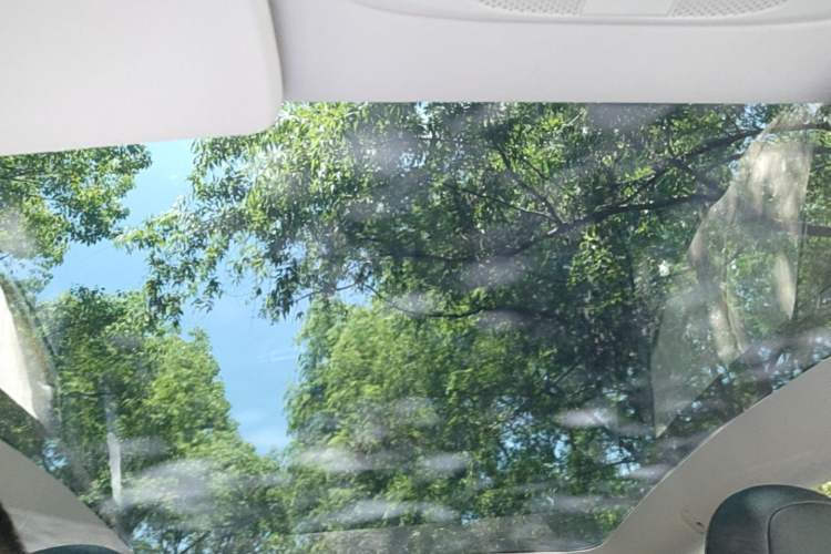 Used Tesla Model Y 2022 Rear-Wheel-Drive Version Headliner