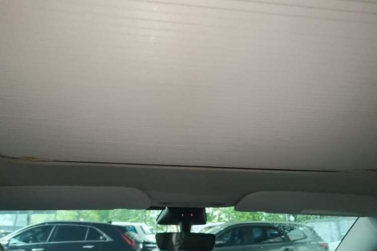 Used Tesla Model Y 2022 Revised Version Rear-Wheel Drive Headliner