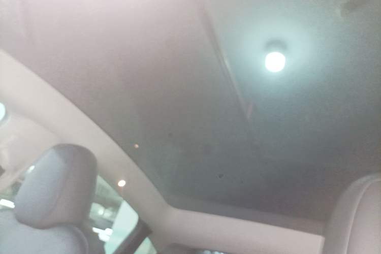 Used Tesla Model Y 2022 Long-Range All-Wheel-Drive Version Headliner