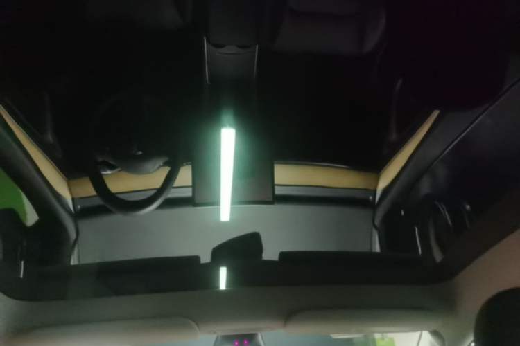 Used Tesla Model Y 2022 Rear-Wheel-Drive Version Headliner