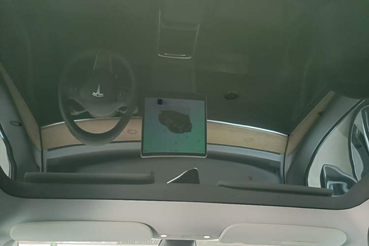 Used Tesla Model Y 2022 Rear-Wheel-Drive Version Headliner