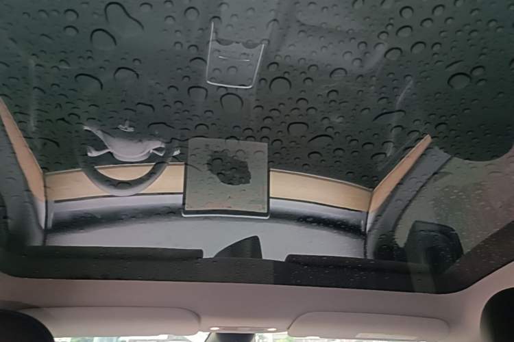 Used Tesla Model Y 2022 Revised Version Rear-Wheel Drive Headliner