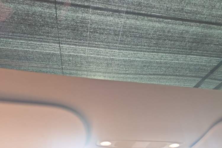 Used Tesla Model Y 2022 Rear-Wheel-Drive Version Headliner