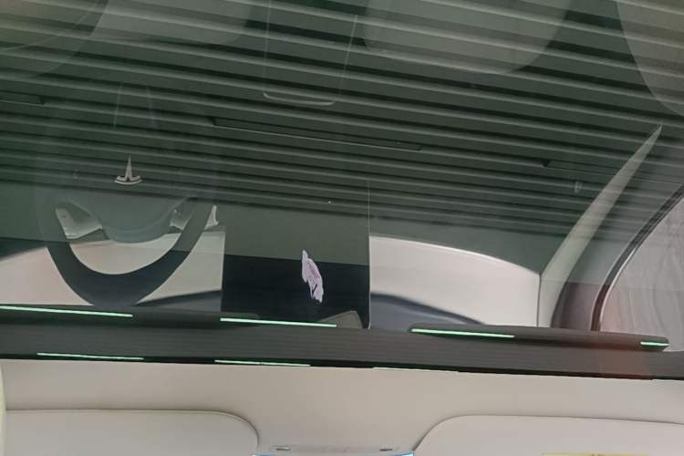 Used Tesla Model Y 2022 Rear-Wheel-Drive Version Headliner