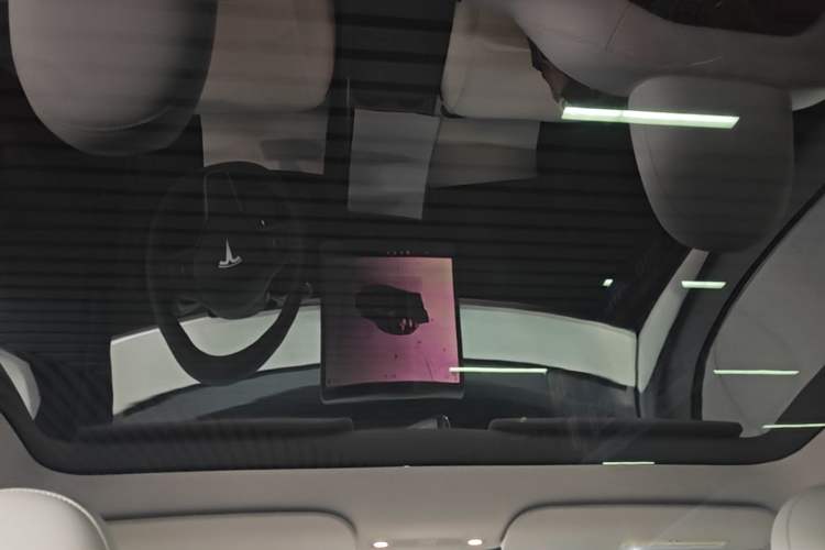 Used Tesla Model Y 2022 Rear-Wheel-Drive Version Headliner