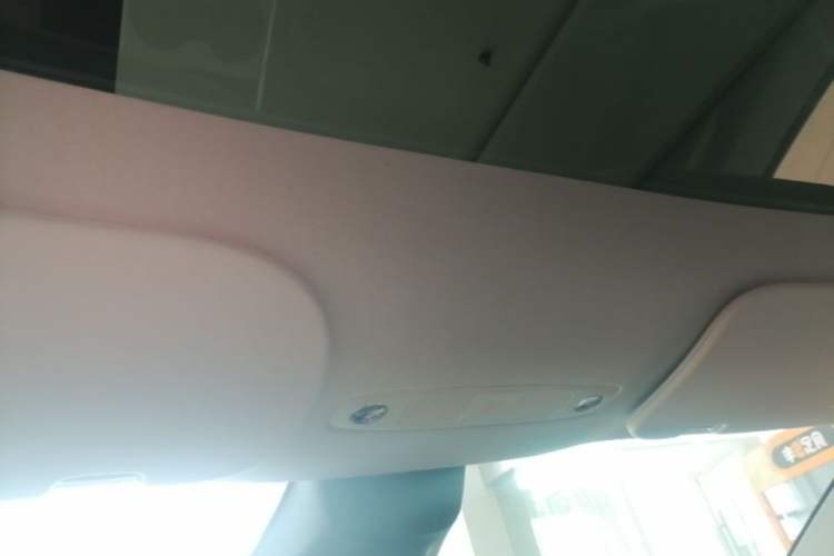 Used Tesla Model Y 2022 Rear-Wheel-Drive Version Headliner