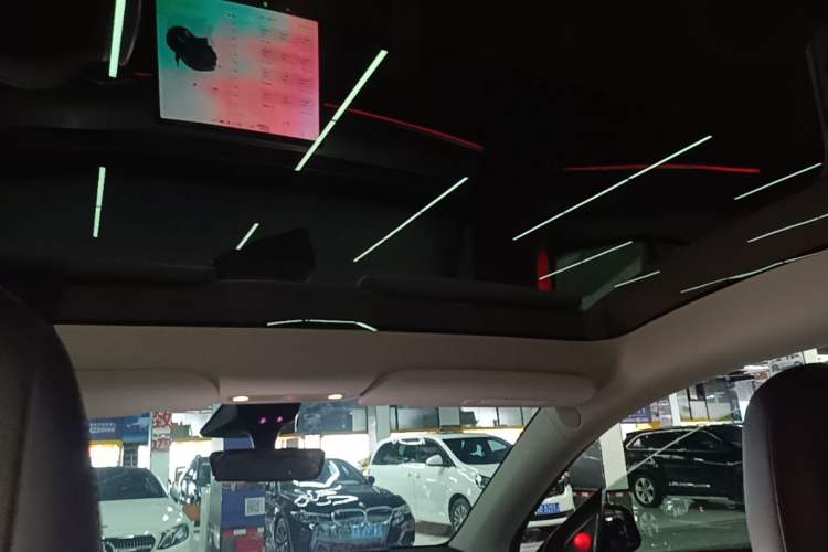 Used Tesla Model Y 2022 Rear-Wheel-Drive Version Headliner