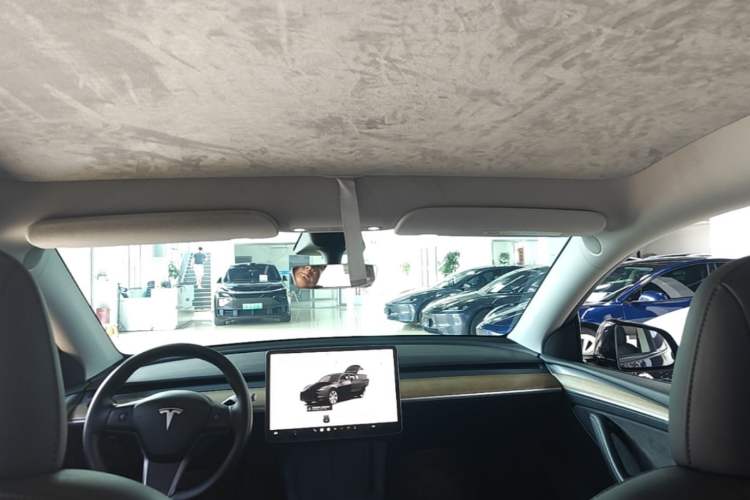Used Tesla Model Y 2022 Rear-Wheel-Drive Version Headliner