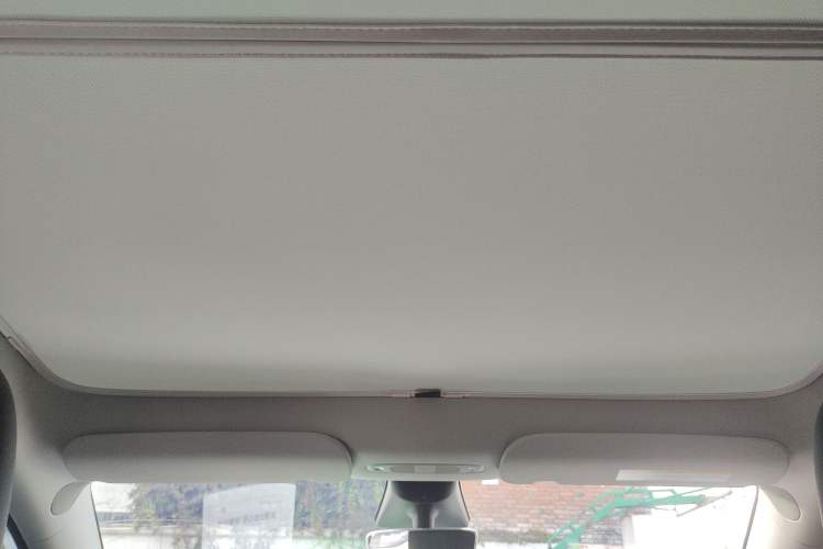 Used Tesla Model Y 2022 Rear-Wheel-Drive Version Headliner